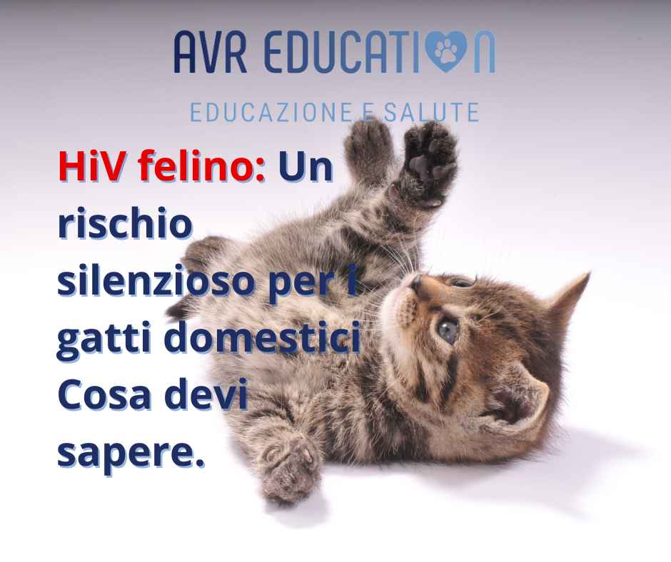 HiV felino