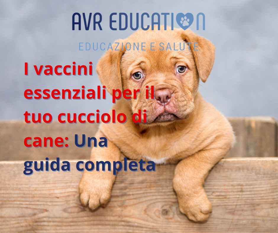 I vaccini essenziali per il tuo cucciolo di cane Una guida completa